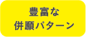 豊富な併願パターン